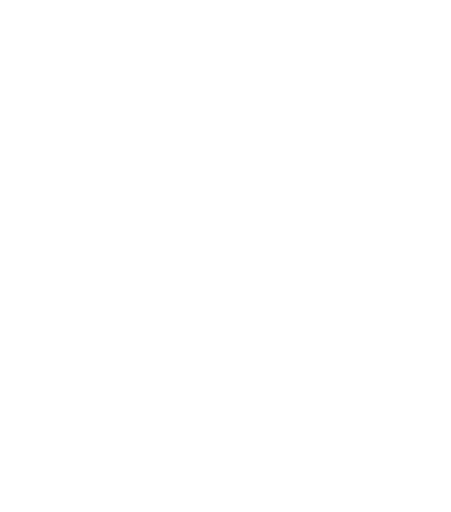 Flecha Discos